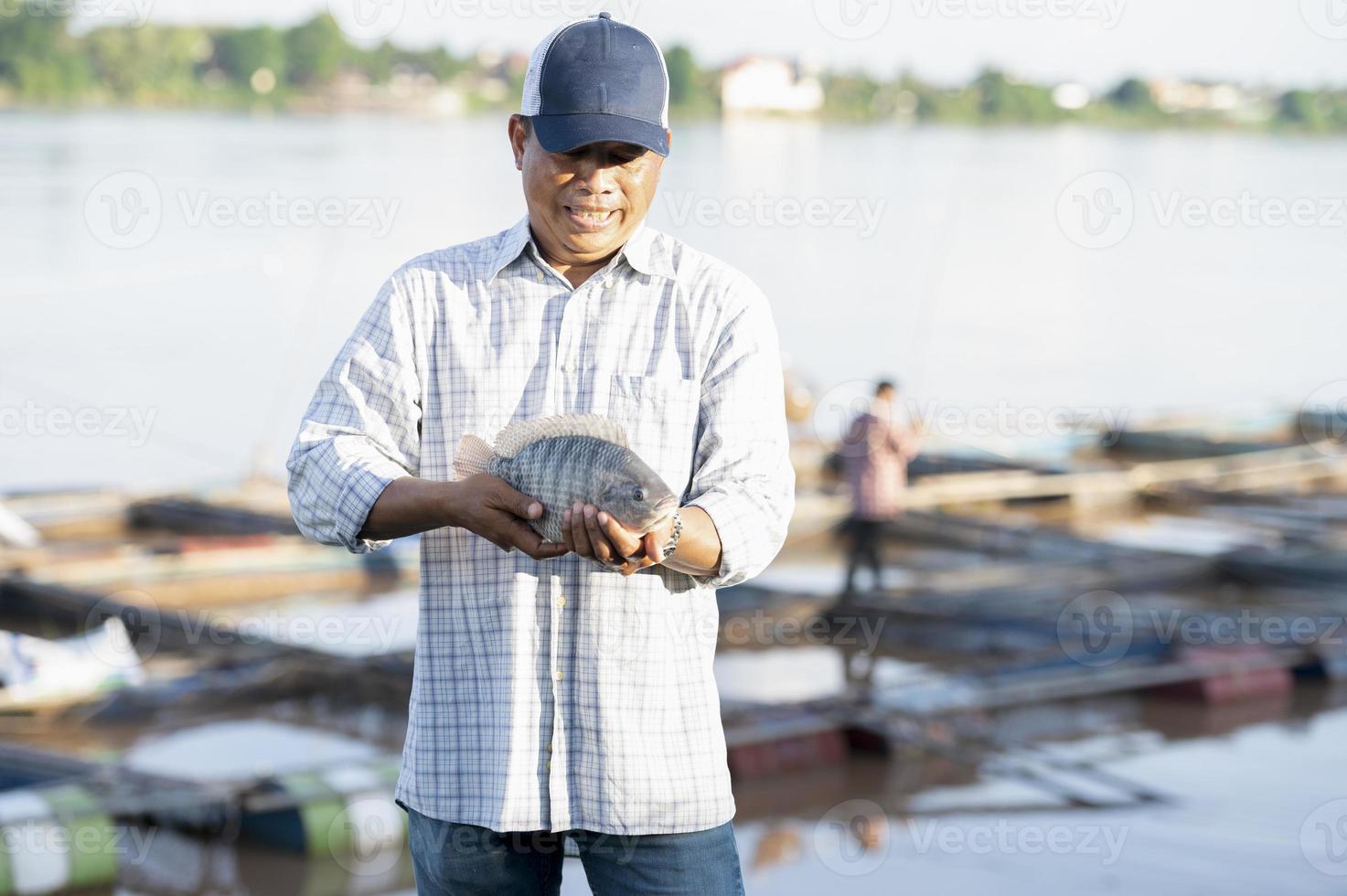 Fischzüchter in der Tilapia-Farm fangen große lebende Tilapia für den Export zum Fischmarkt. frischer Tilapia. foto