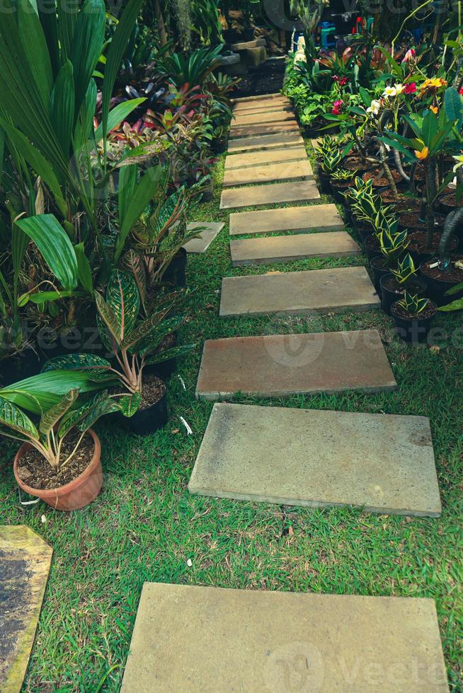 ein Weg oder Gehweg in einem sehr üppigen Garten mit verschiedenen Pflanzen. foto