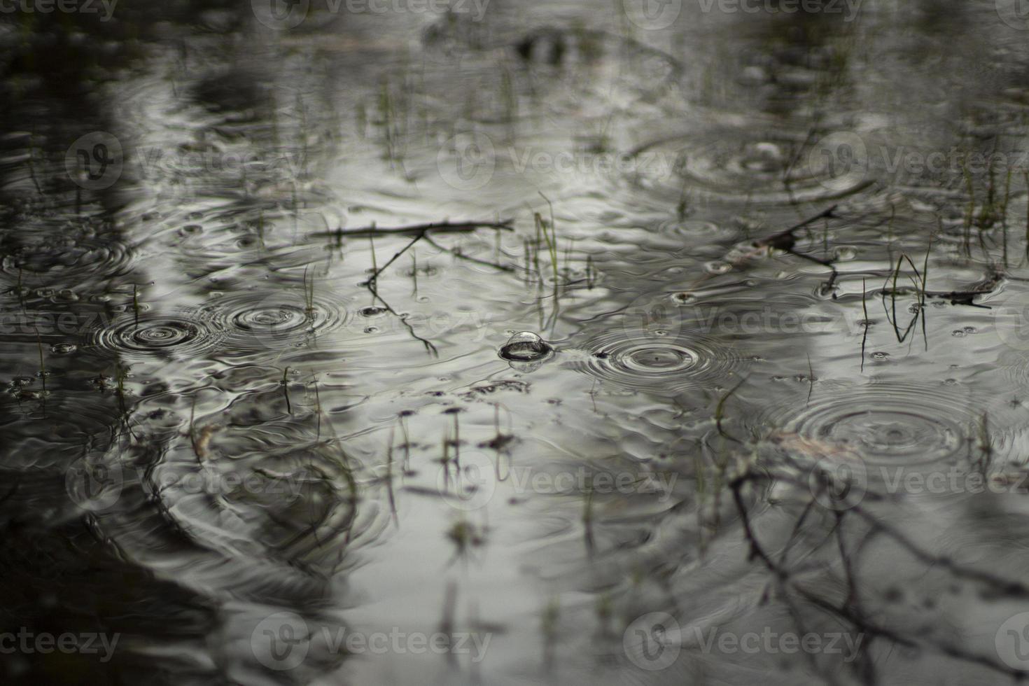 Pfütze im Frühling. Kreise auf dem Wasser. die Wasseroberfläche nach dem Regen. foto