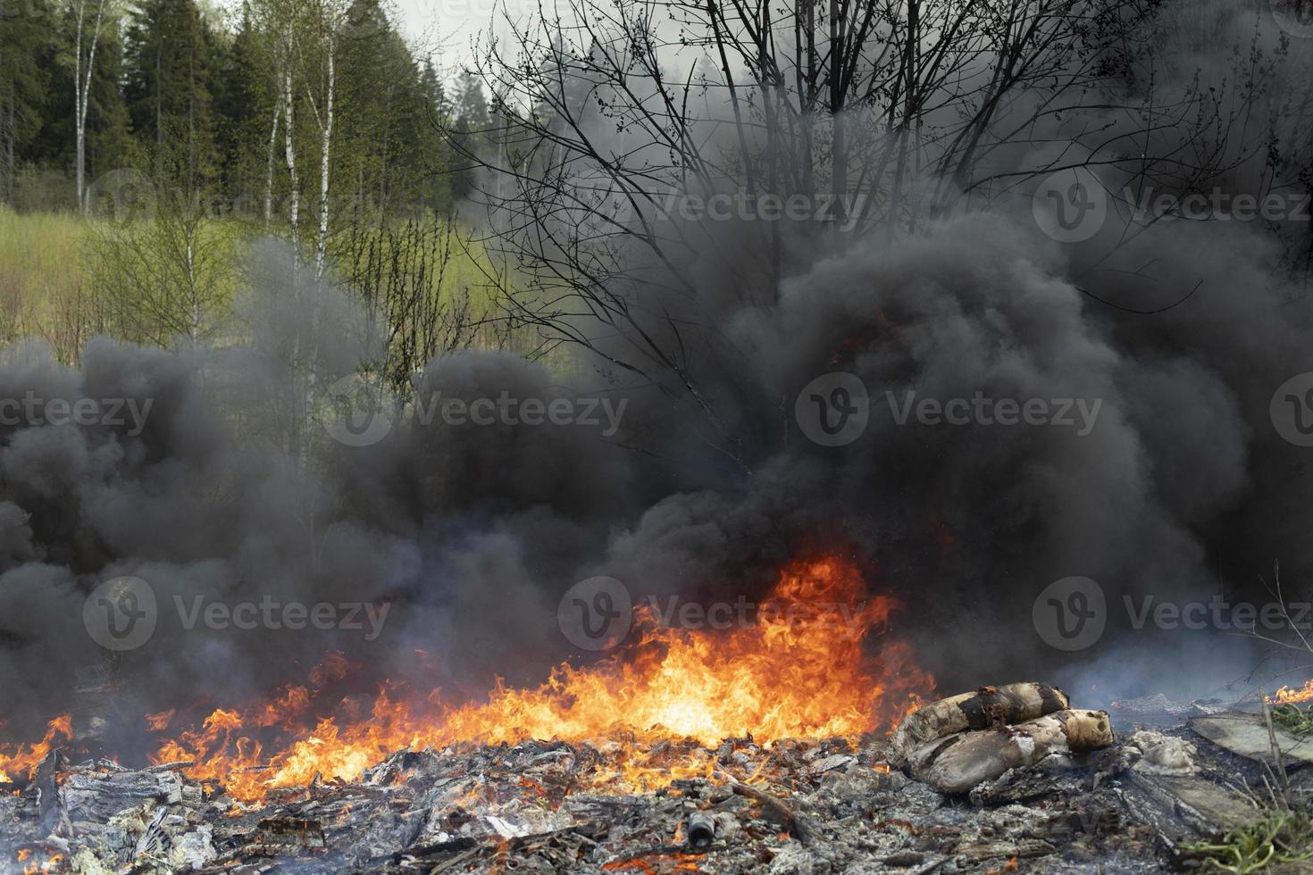 Feuer im Wald. Rauch über Bäumen. Schaden für die Natur. foto