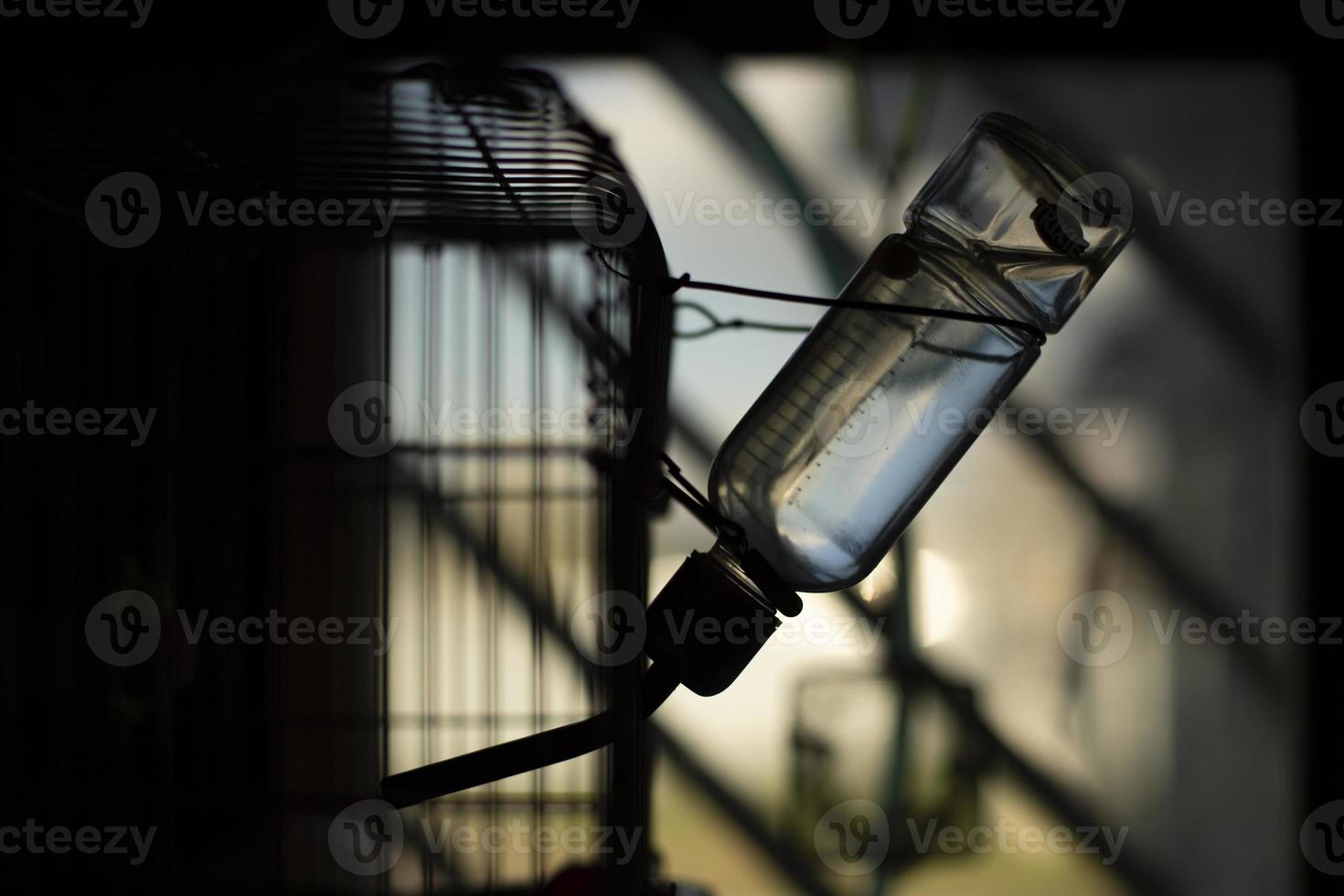 Trinkflasche für Hamster. Nagetierkäfig. Behälter mit Wasser für Haustier. Wasser für Tiere. foto