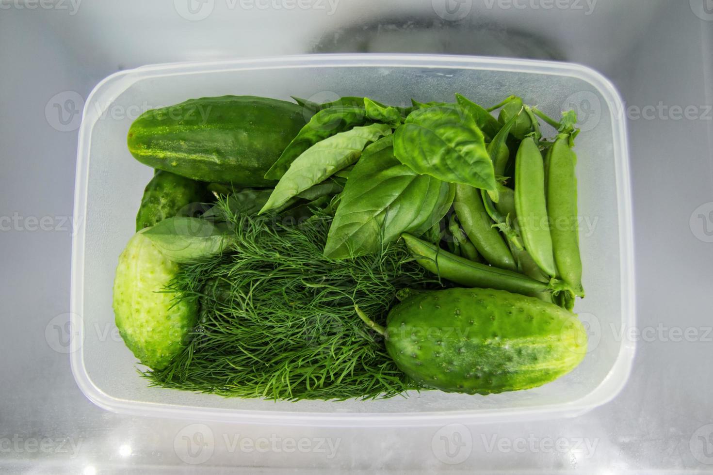 grünes gemüse - basilikum, dill, sauerampfer, erbsen, gurke - im plastikbehälter auf einem regal eines kühlschranks. foto