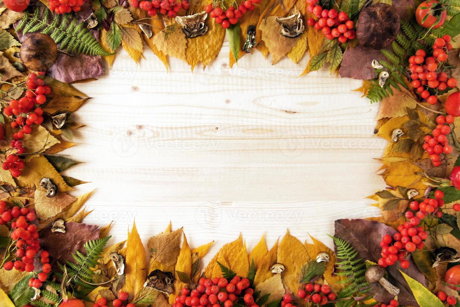 Rahmen aus trockenen bunten Herbstblättern, trockenen und frischen Pilzen, frischen Hagebutten und Vogelbeeren auf dem Holzhintergrund, Draufsicht. foto