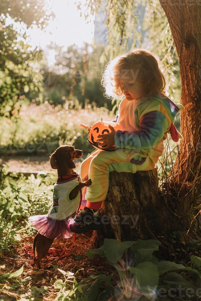 Kleines Mädchen in einem Regenbogen-Einhorn-Halloween-Kostüm und ein Dackel  in einem Kleid mit einem Kürbiskorb für Süßigkeiten sitzen bei  Waldsonnenuntergang auf Baumstumpf. fabelhafter wunderbarer Zauberwald.  Platz für Text 13059314
