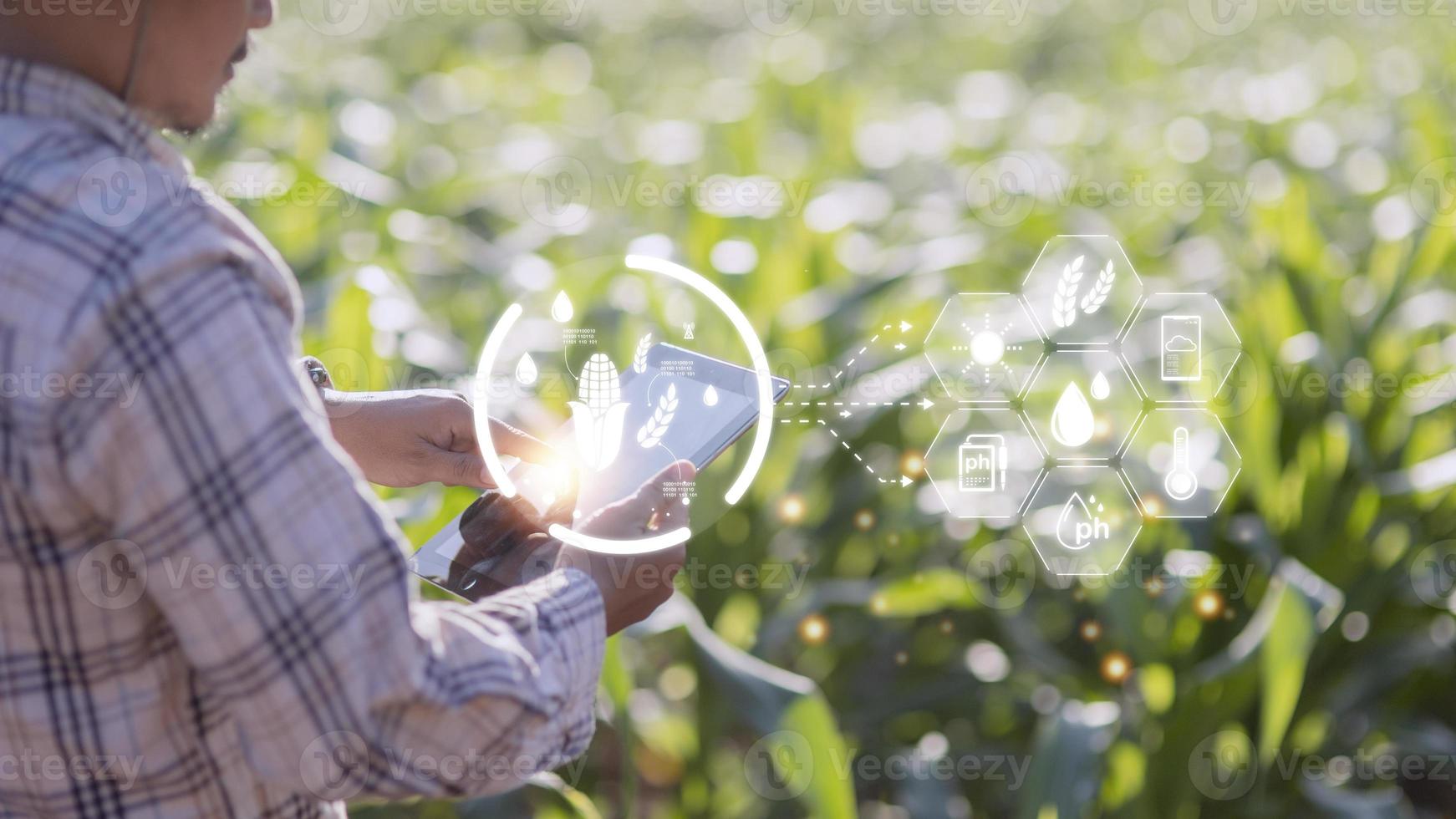 Landwirtschaftstechnologie Bauermann mit Tablet-Computer-Analysedaten und visuellem Symbol. foto