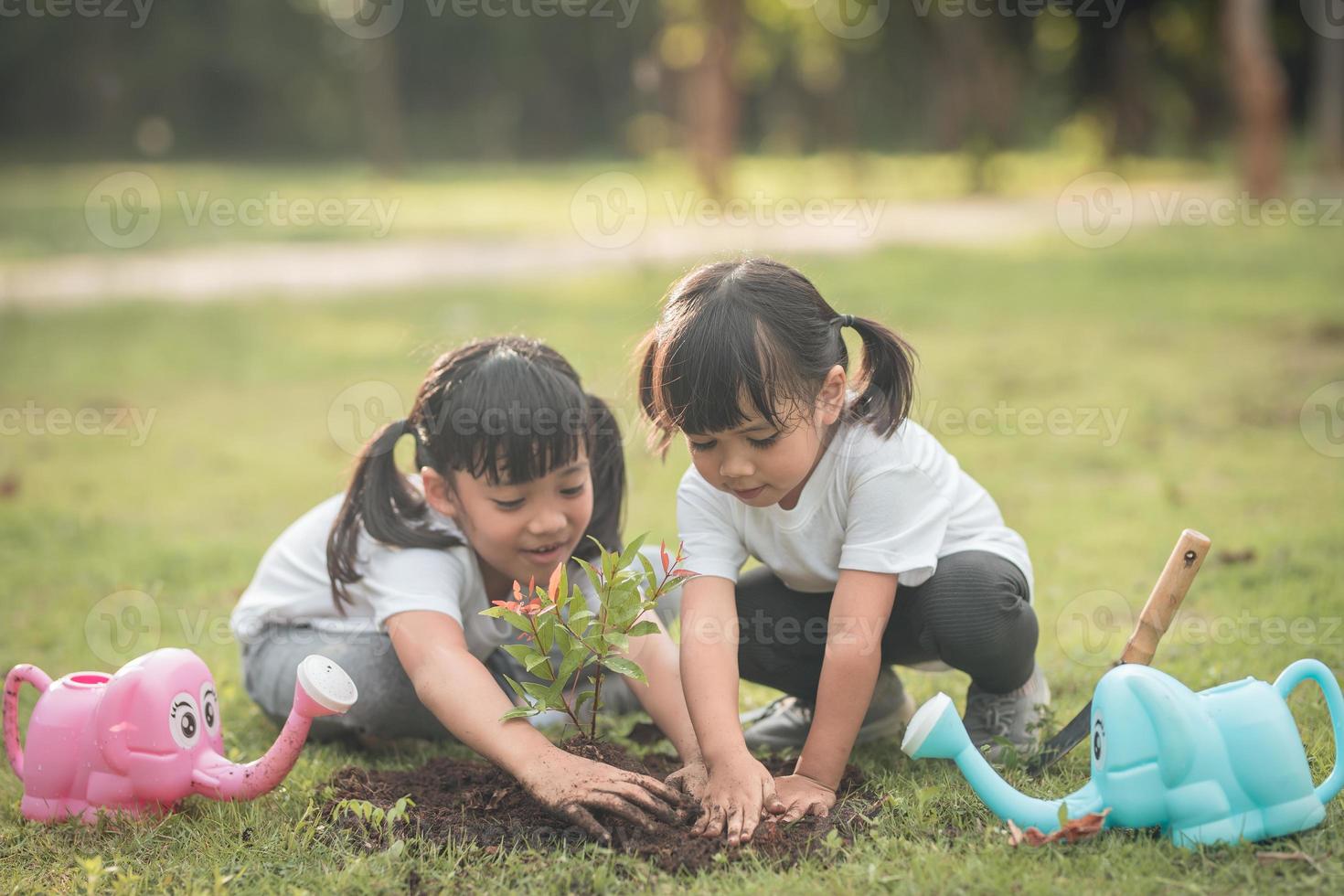 asiatische geschwister, die am sommertag zusammen einen jungen baum auf schwarzer erde als sichere welt im garten pflanzen. Baum pflanzen. kindheits- und outdoor-freizeitkonzept. foto