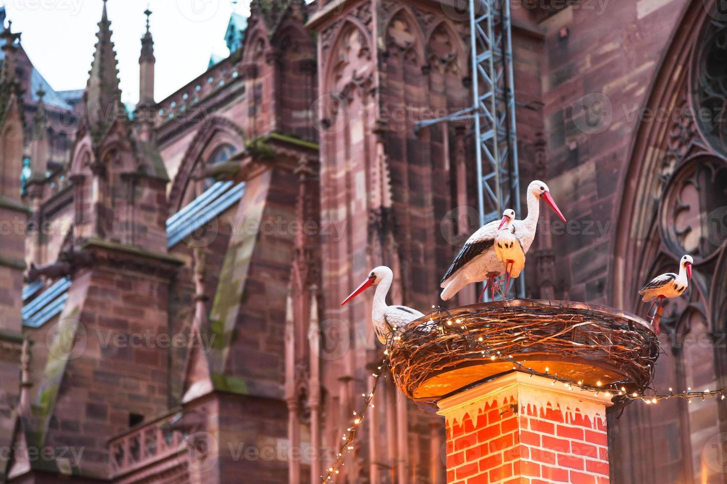 storchennest in der nähe der kathedrale in weihnachten foto