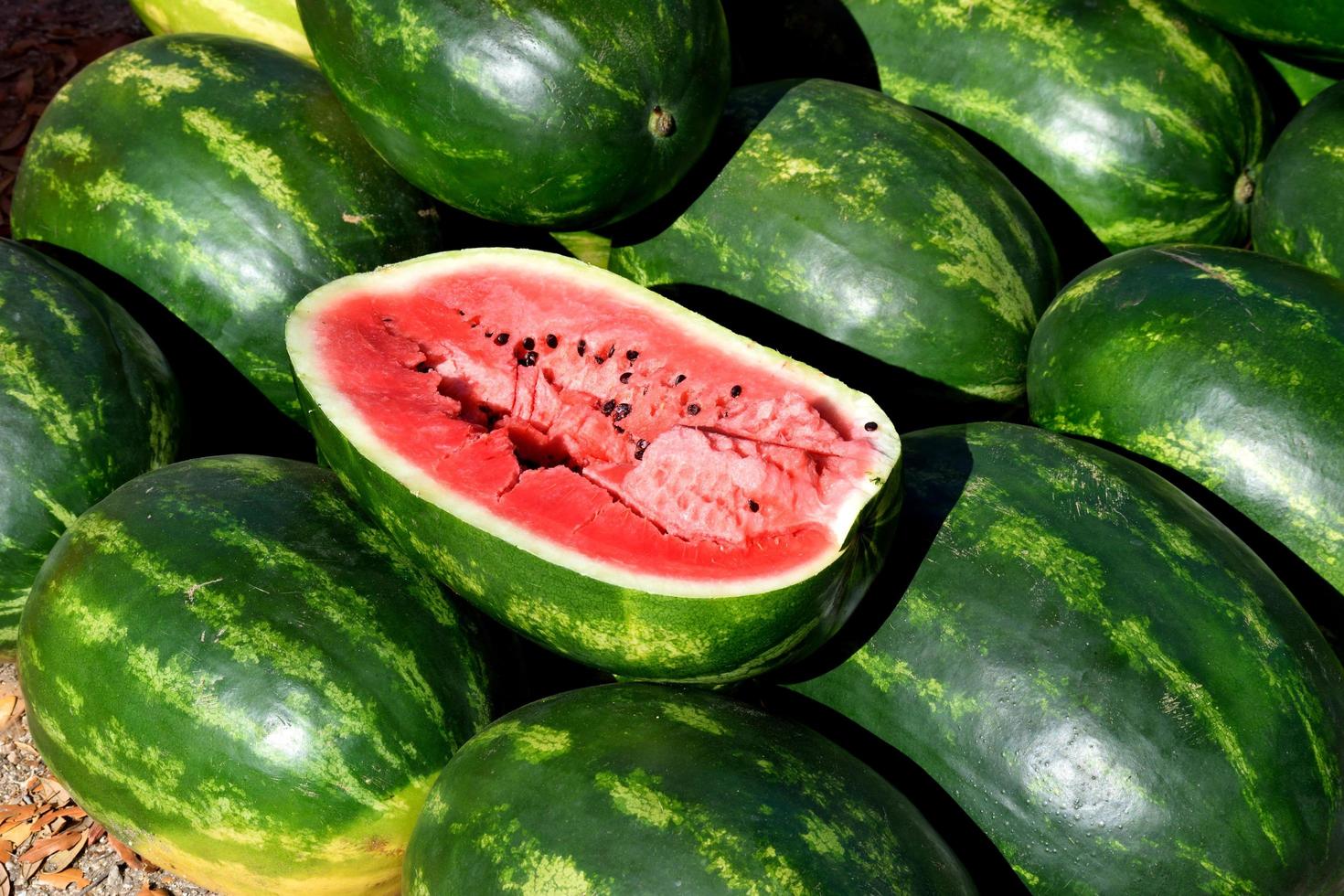 ein Haufen Wassermelonen foto