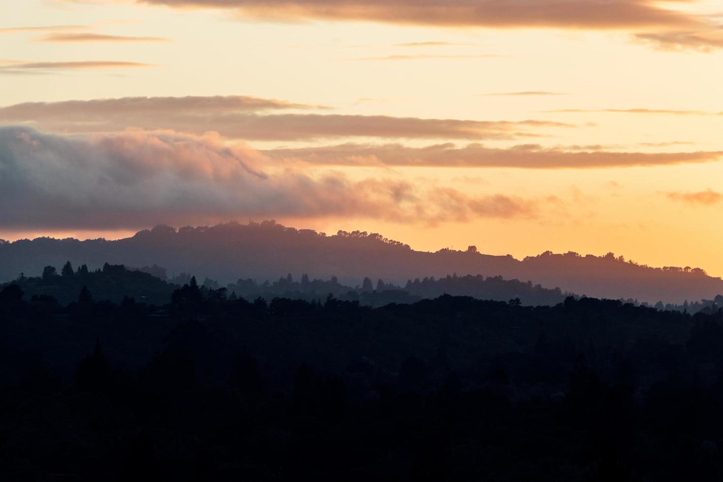 Schattenbild der Bäume bei Sonnenuntergang foto