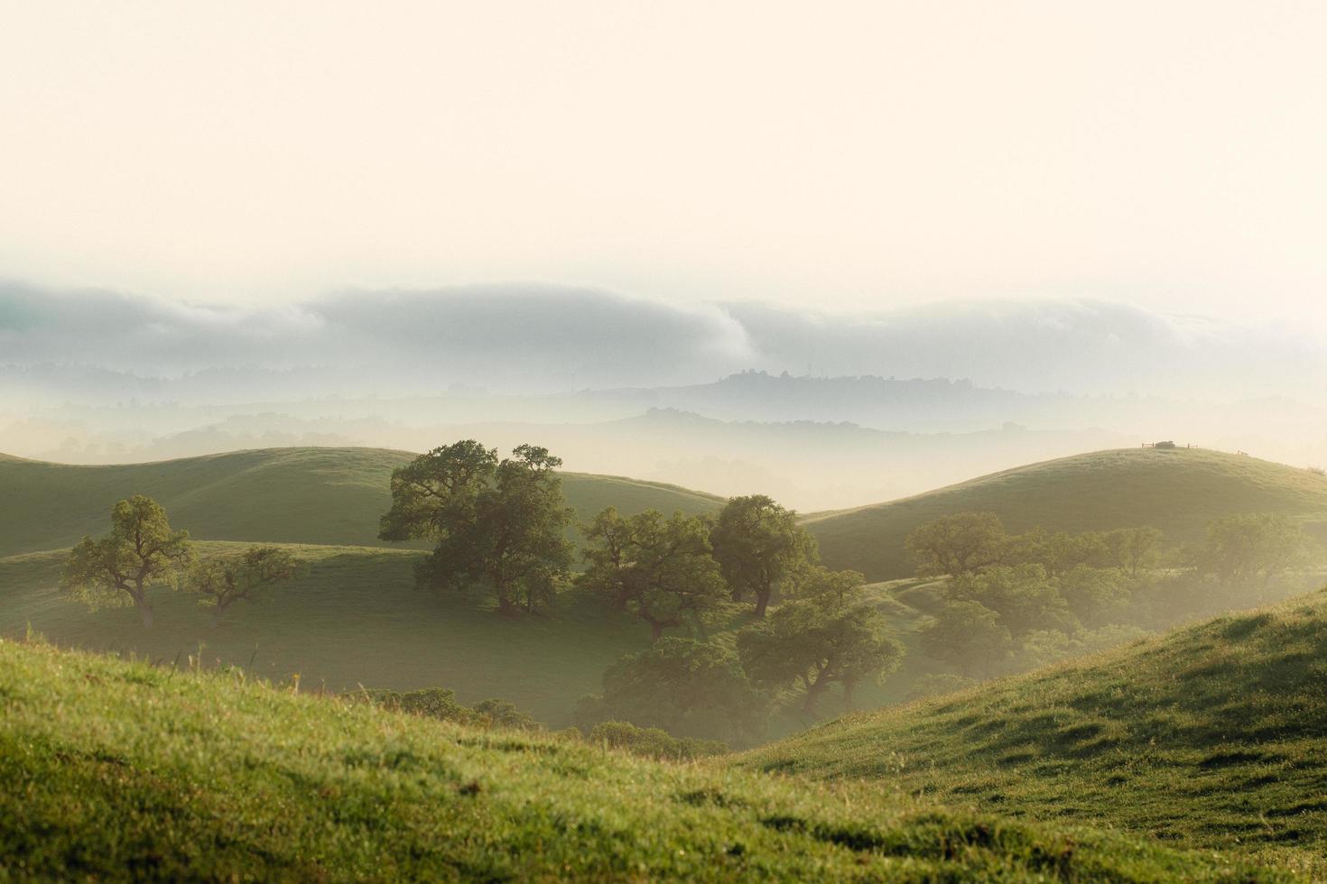 neblige Landschaft bei Sonnenaufgang foto