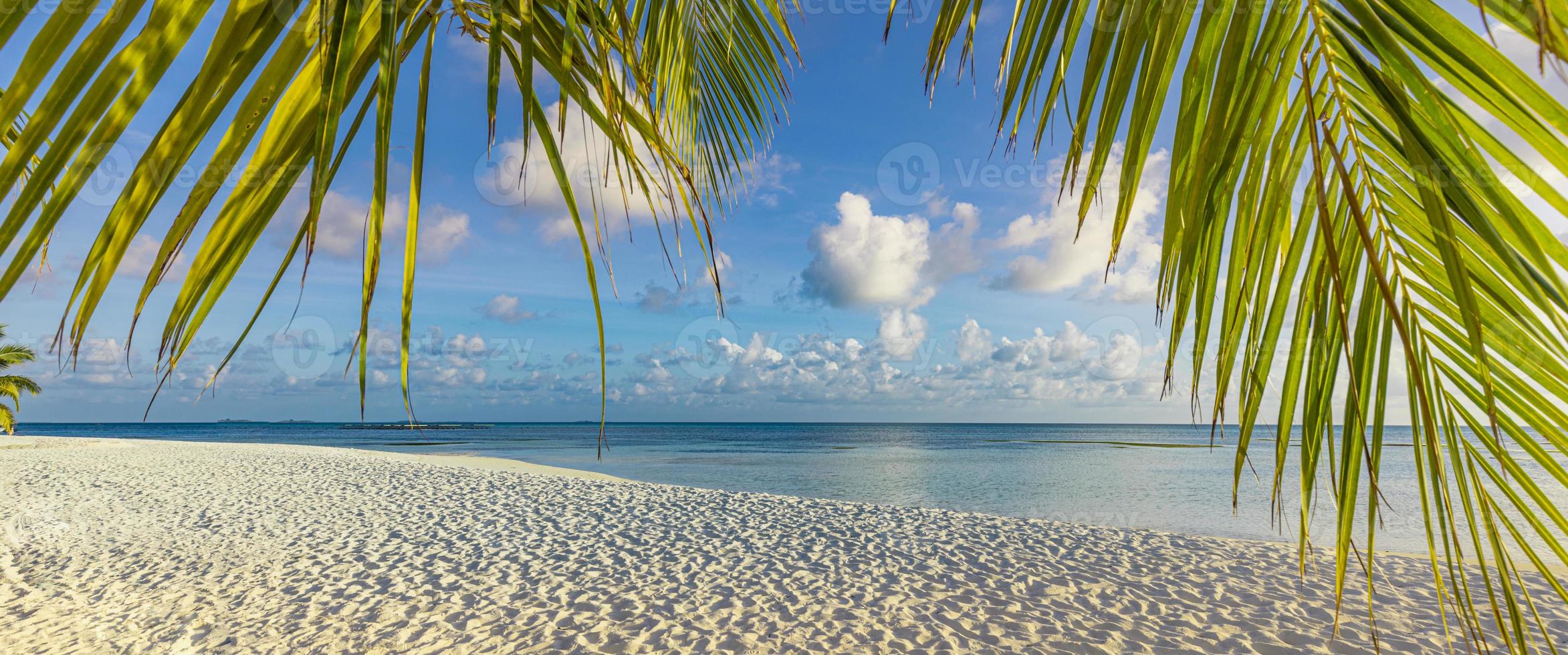 sonniger tropischer strand mit palmenblättern und türkisfarbenem wasser, inselurlaub, sommerreisen. Paradiesinselkonzept, Panorama-Naturlandschaftsbanner. idyllische entspannende Farben, ruhiger Urlaub foto