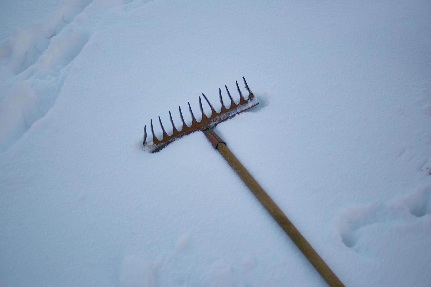 Gartenrechen im Winter, in Erwartung der Frühjahrsarbeiten foto