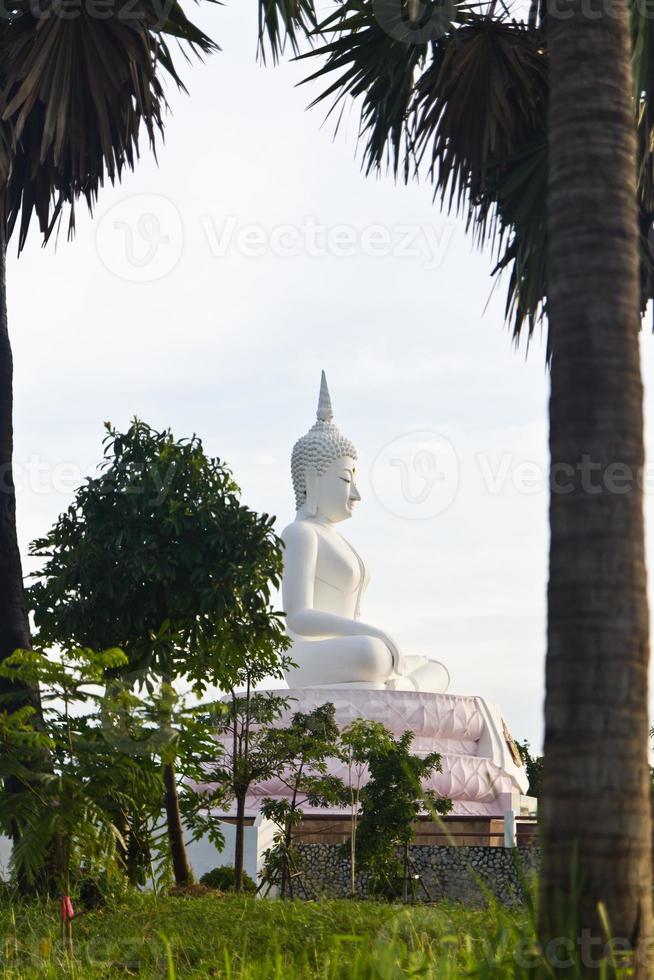 weiße Buddha-Statue foto