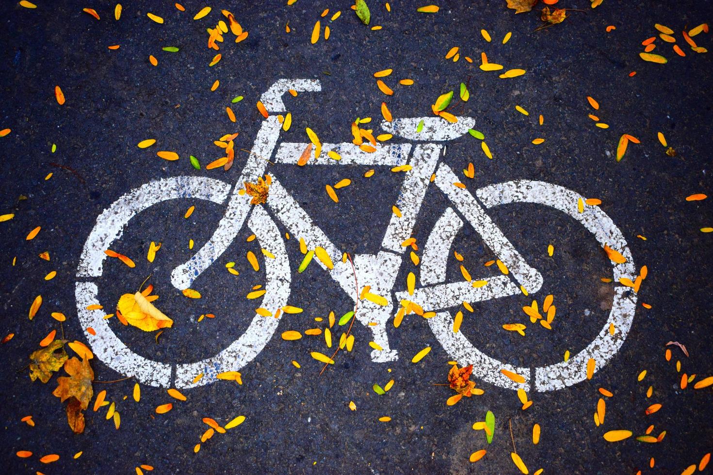 Fahrrad Straßenschild foto