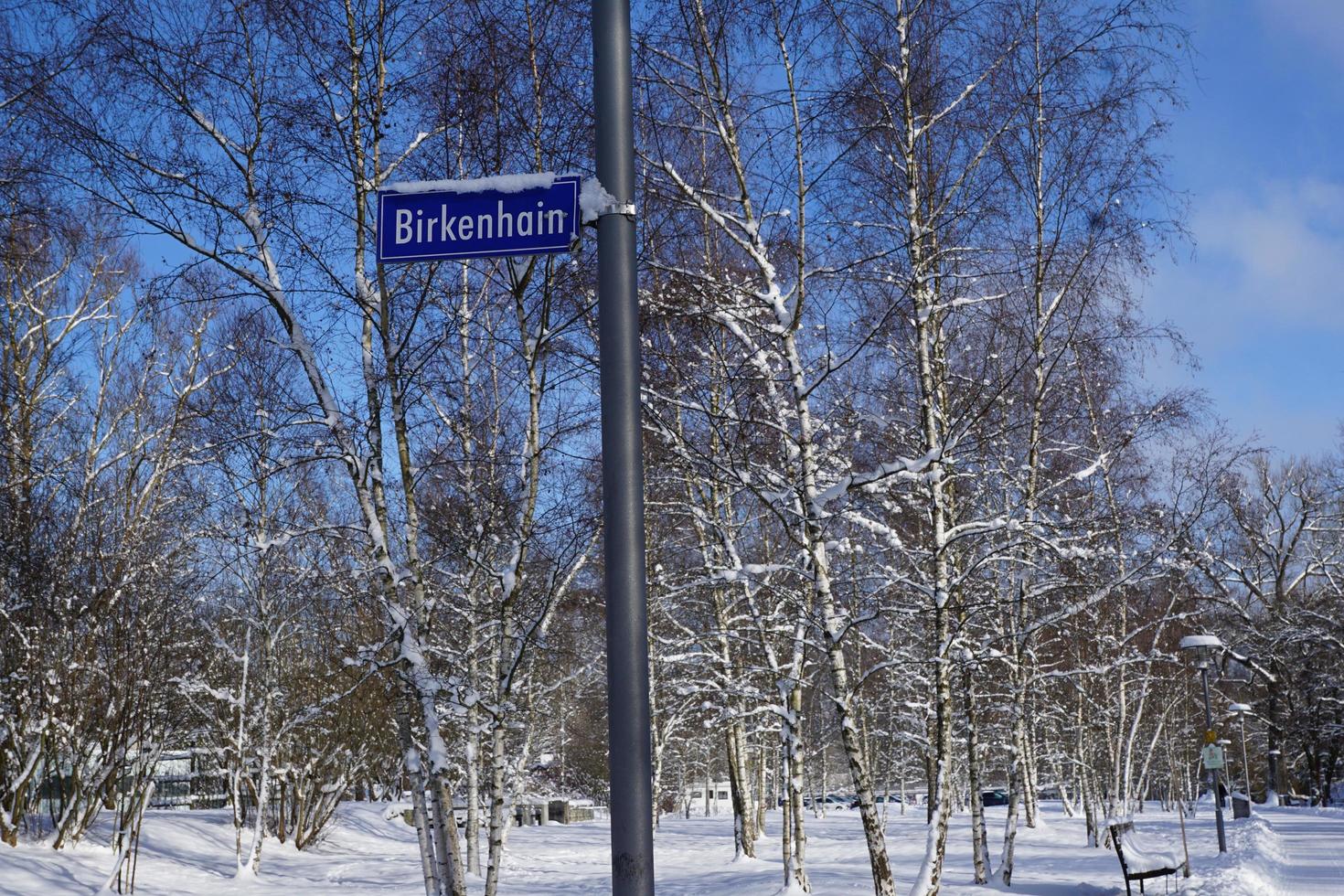 Birkenhain Zeichen im Winter foto