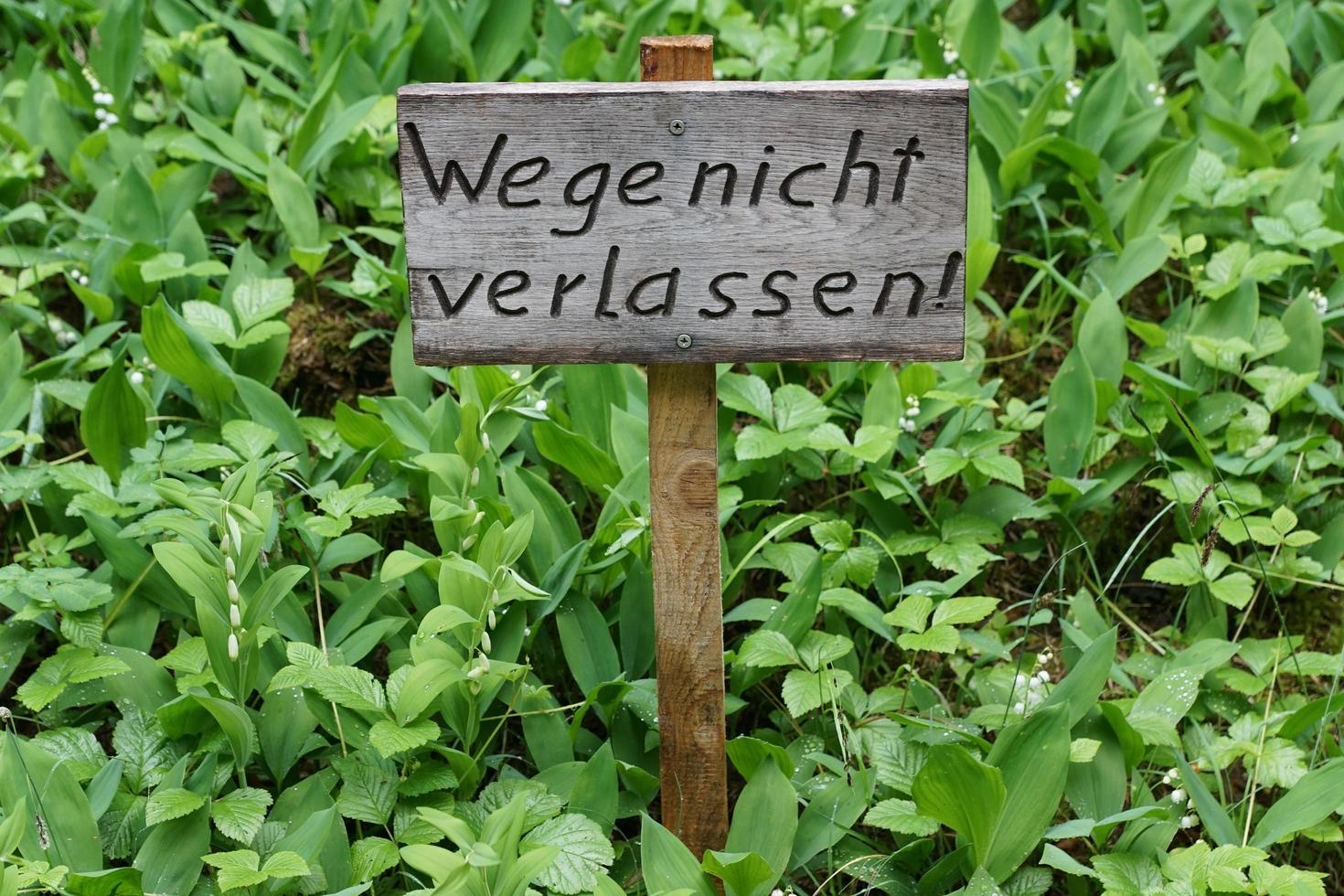 Verlasse das Wegzeichen nicht foto