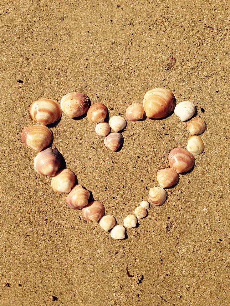 Herz aus Muscheln foto