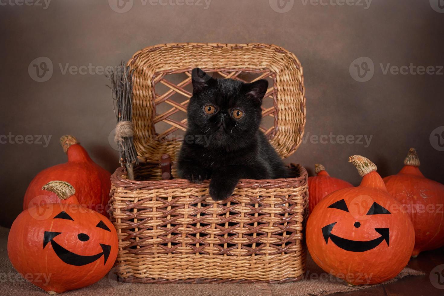 Schwarze Katze als Halloween-Symbol in einem Weidenkorb mit einem orangefarbenen Kürbis foto