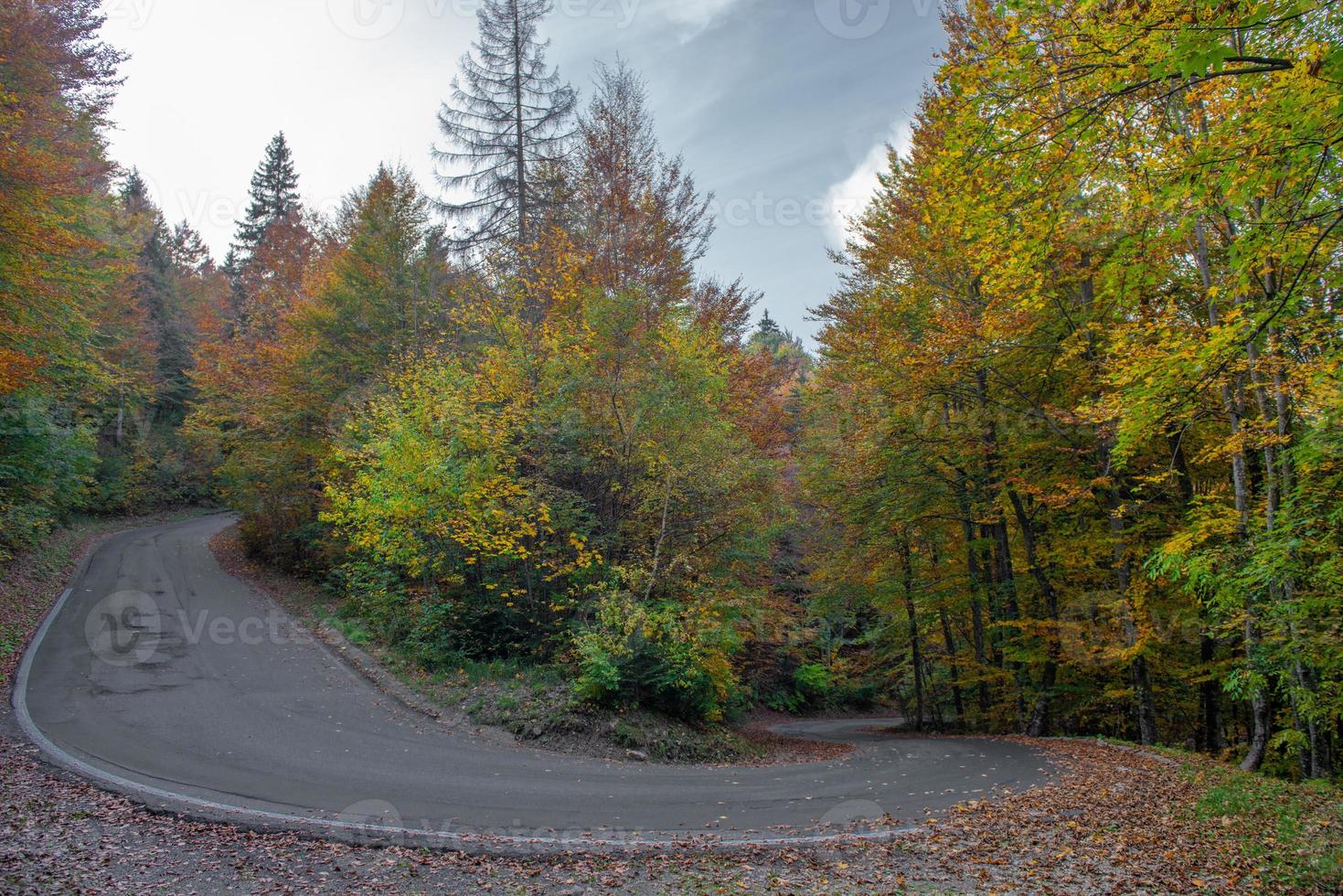 Bergstraße im Herbst foto