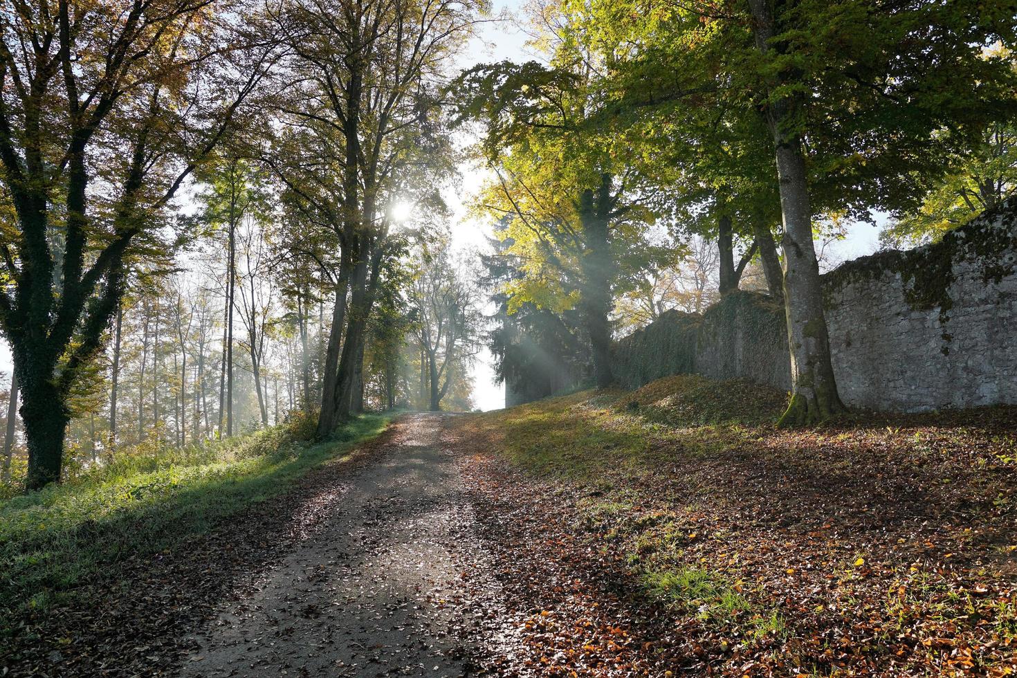 Herbstlandschaft auf dem Honberg foto