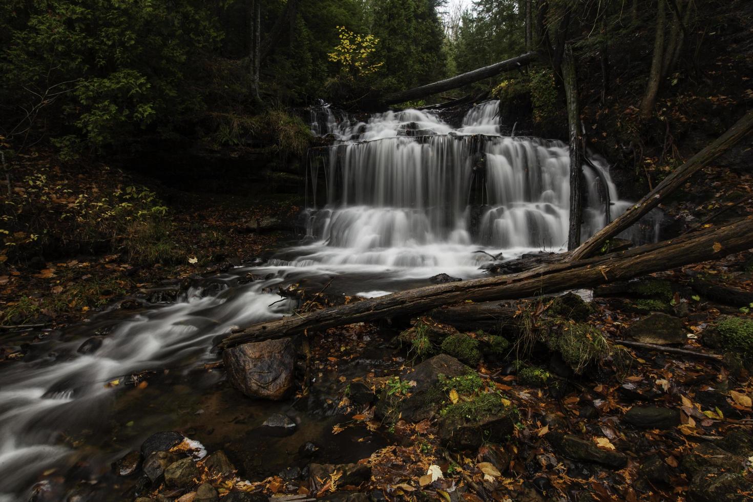 Wasserfall in einem dunklen Wald foto