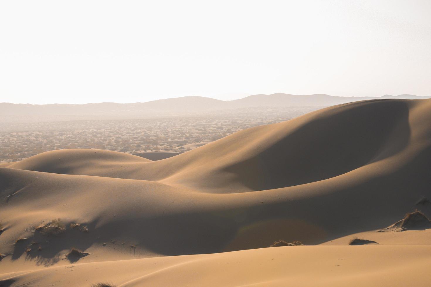 Wüste in der Sommersaison foto