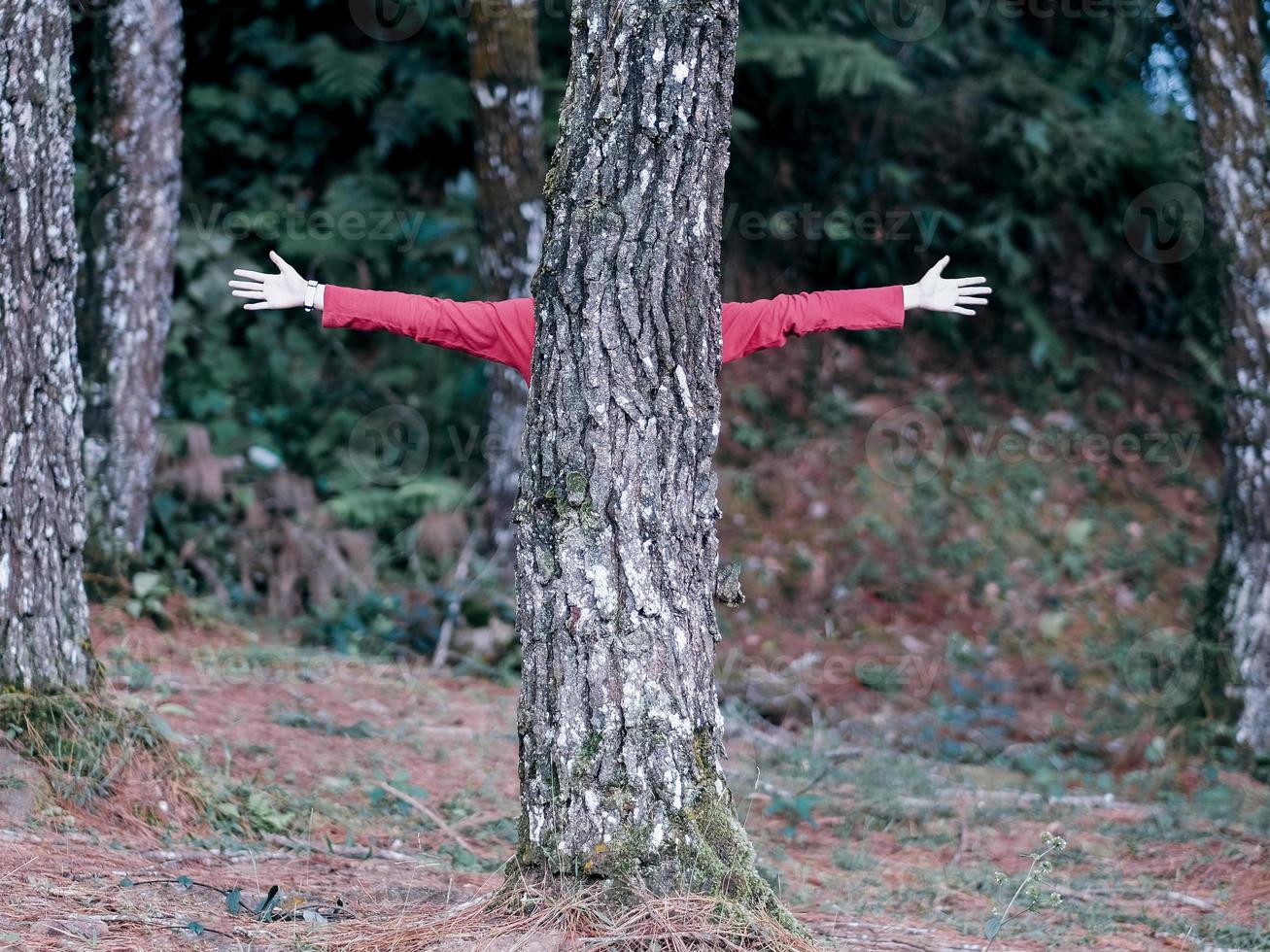 ein Mädchen, das im Wald Verstecken spielt foto