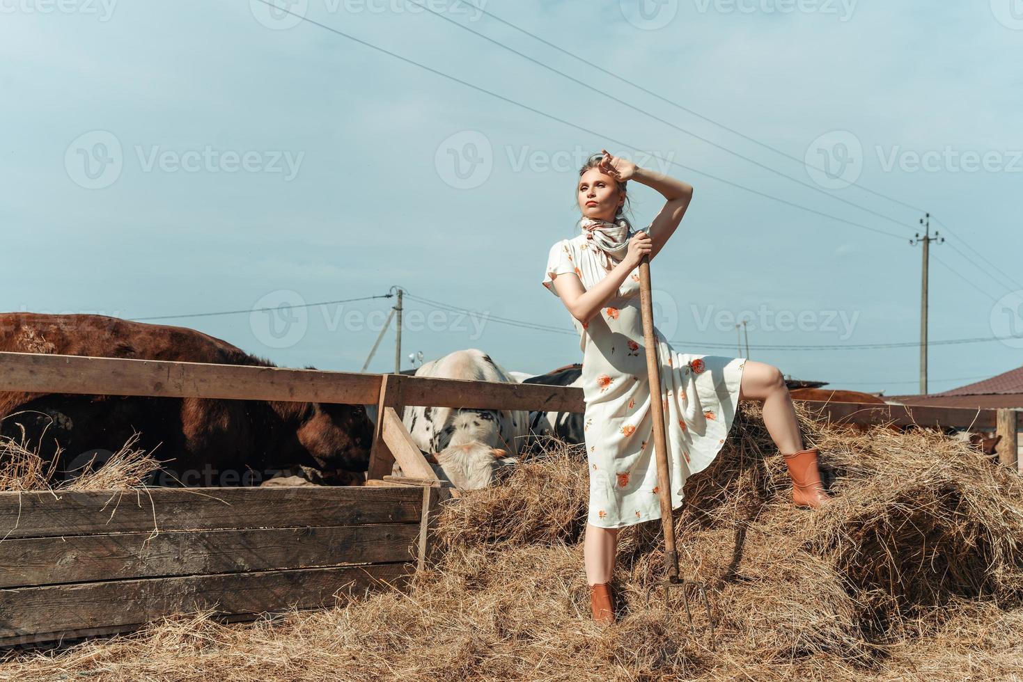 Eine schöne Frau auf einem Bauernhof füttert das Vieh mit Heu foto