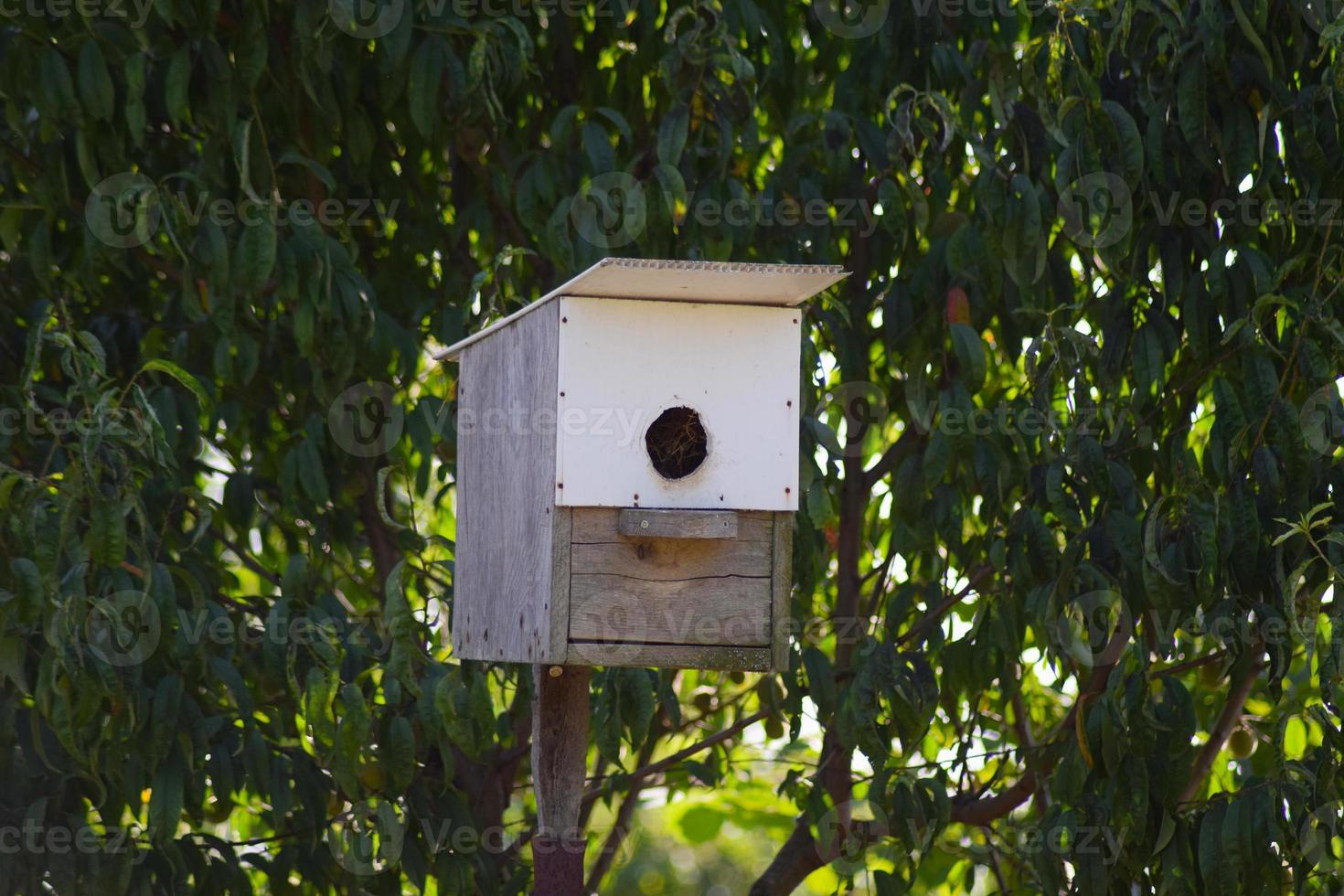 hausgemachtes Vogelhaus im Garten foto