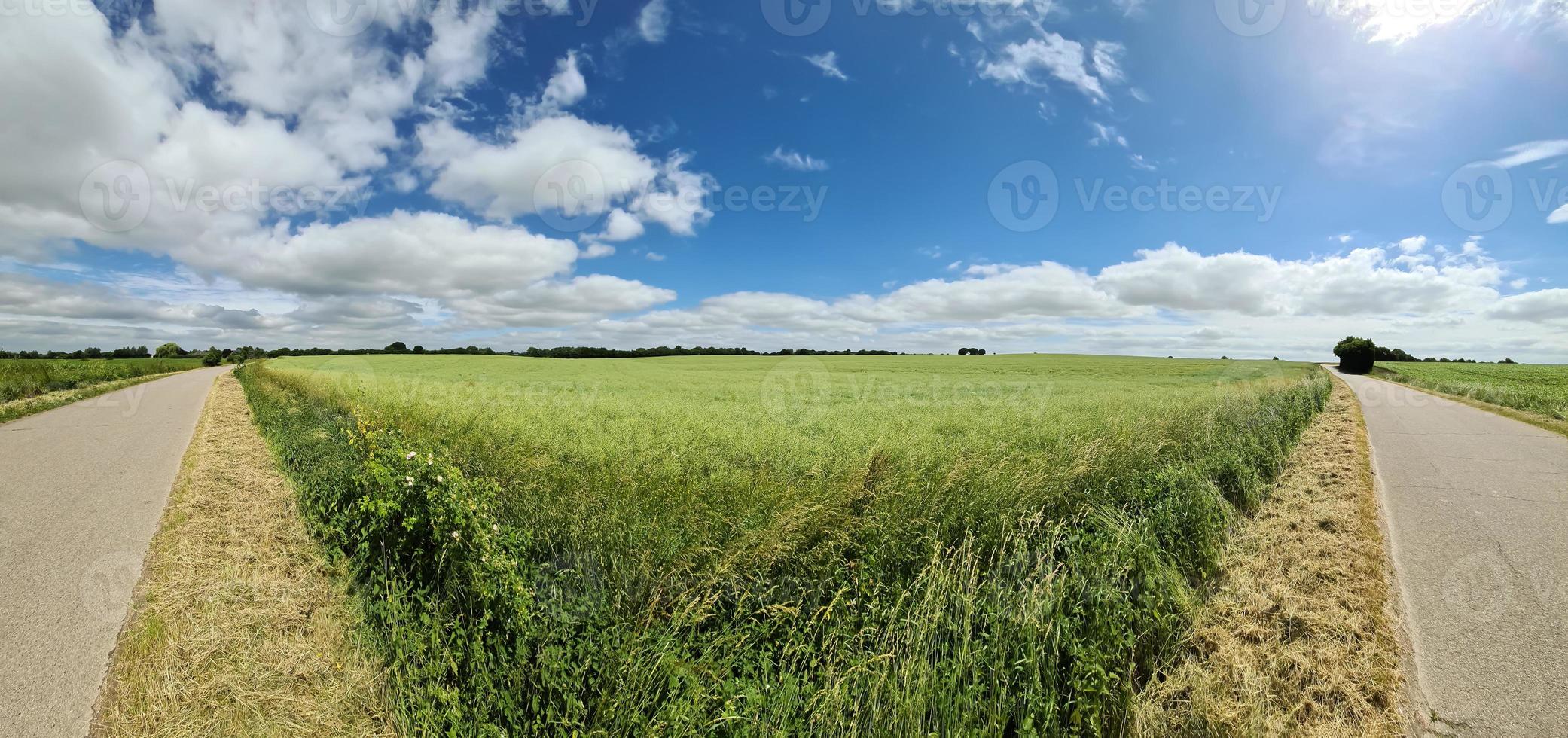 Panorama einer nordeuropäischen Landschaft mit Straßen, Feldern und grünem Gras. foto