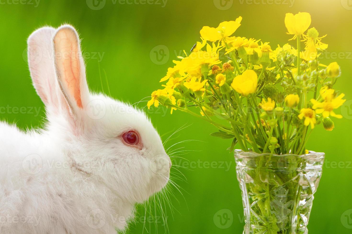 Lustiges weißes ohriges kleines Kaninchen auf einem hölzernen Hintergrund mit einem Blumenstrauß an einem sonnigen Tag in der Natur foto