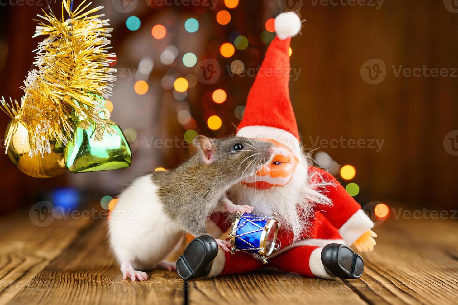 süße ratte im weihnachtsdekor, weihnachtsmann und bokeh foto