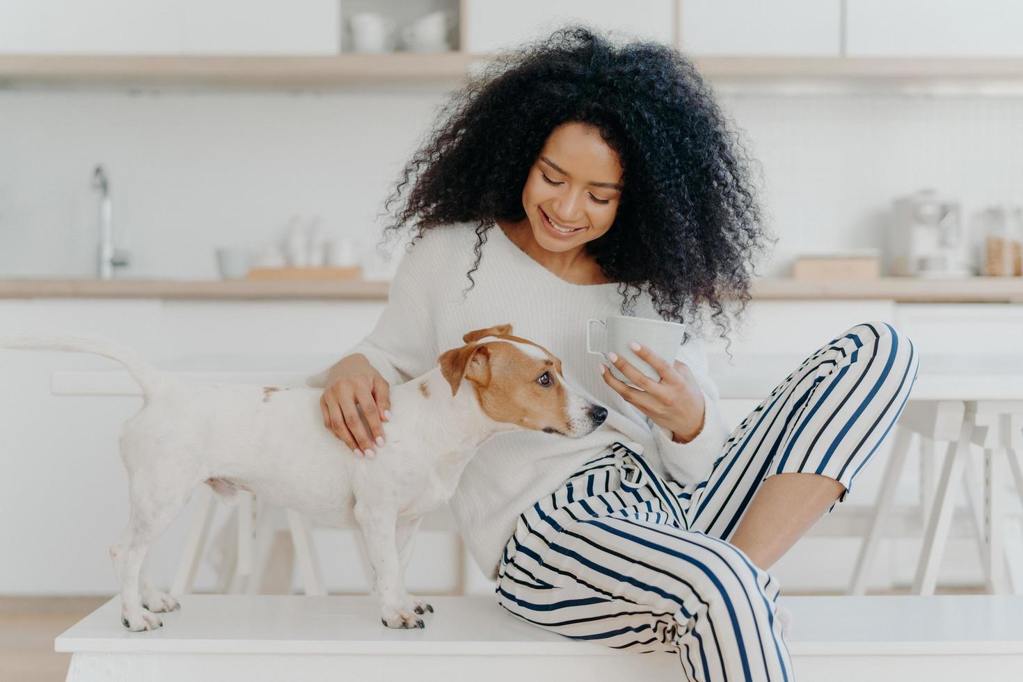 schöne afroamerikanerin hat kaffeepause, streichelt rassehund, sitzt auf bequemer weißer bank vor küchenhintergrund, lächelt vor glück. menschen, pflege, liebe und tierkonzept foto