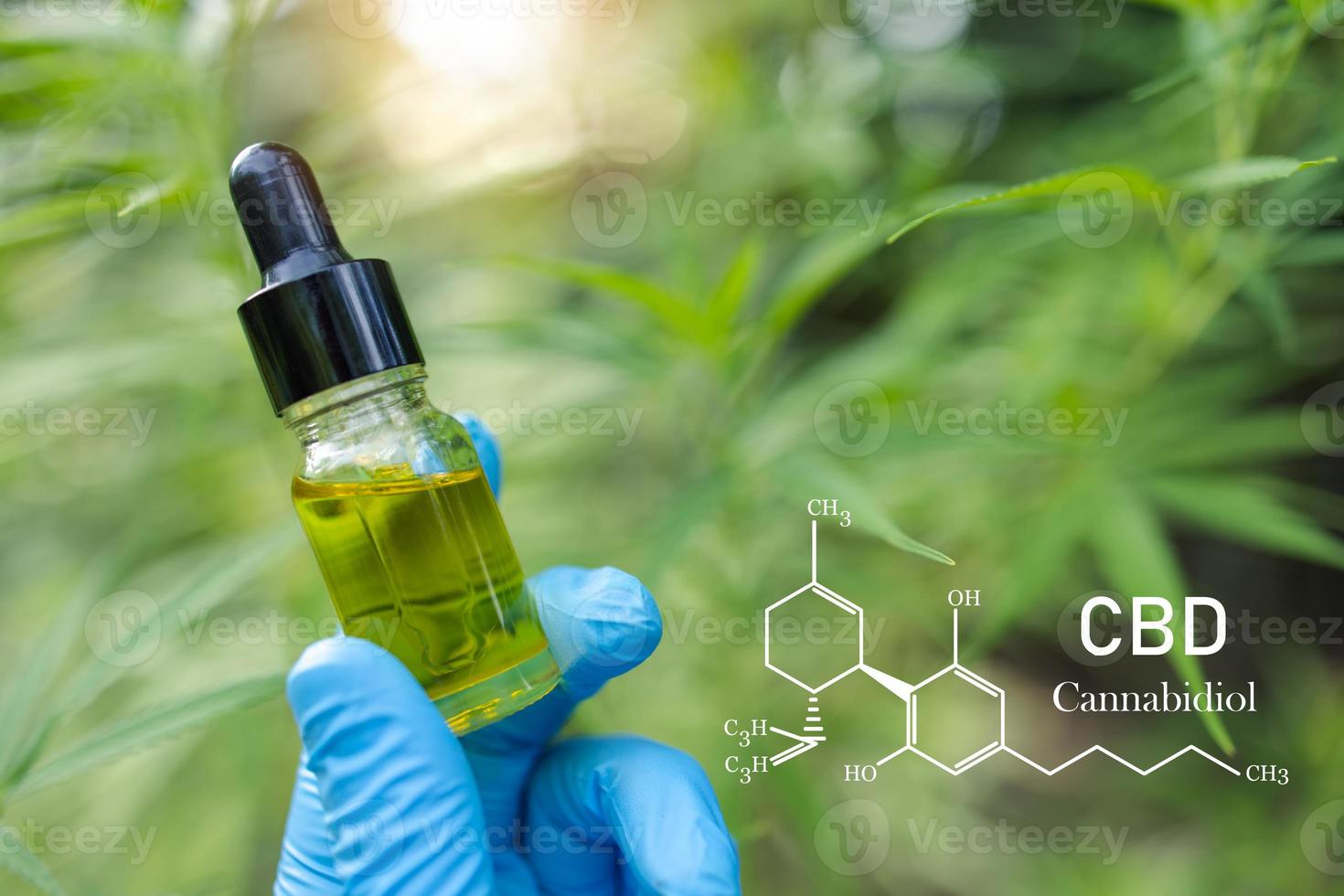 cbd-elemente, handhaltepipette mit cannabisöl gegen cannabispflanze. cbd-ölhanfprodukte, medizinisches marihuana mit extraktöl in einer flasche. medizinisches Marihuana-Konzept foto