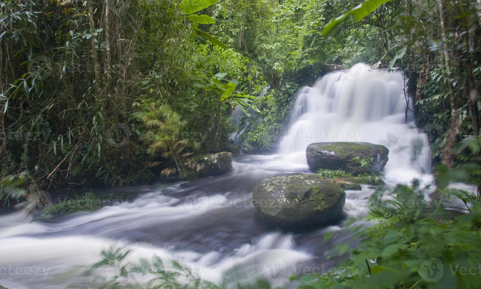Wasserfall im tiefen Regenwalddschungel foto