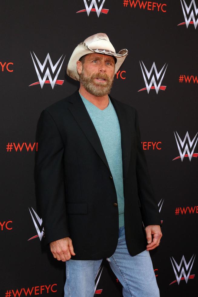 los angeles - 6. juni - shawn michaels bei der wwe für ihre erwägungsveranstaltung im tv academy saban media center am 6. juni 2018 in north hollywood, ca foto