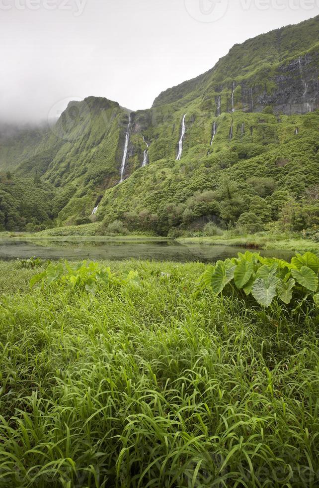 Azoren Landschaft in Flores Insel. Wasserfälle in Pozo da Alagoin foto