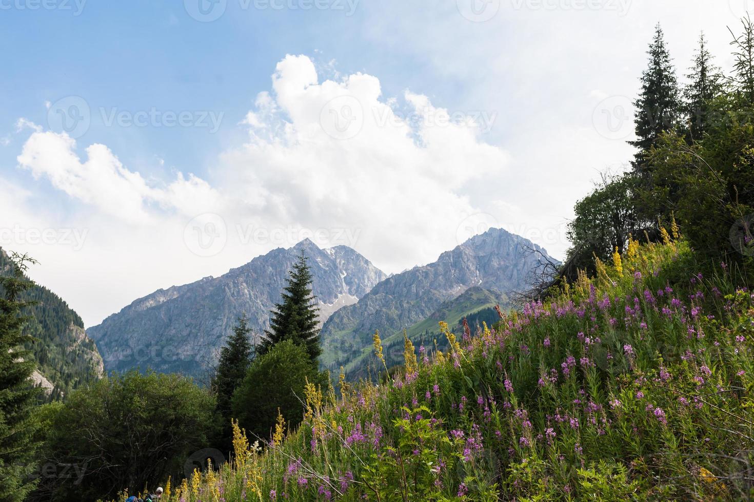 erstaunlich schöne Berge im Sommer foto