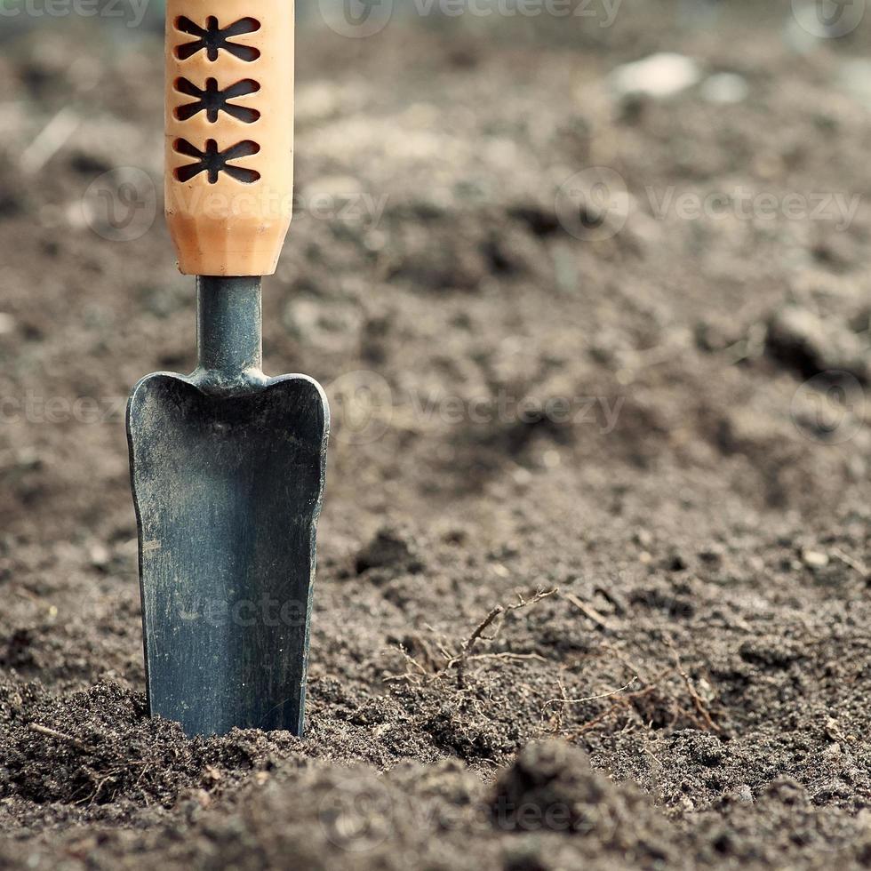 Gartenkelle auf dem Boden gegen den Boden. Hintergrund in Unschärfe. foto