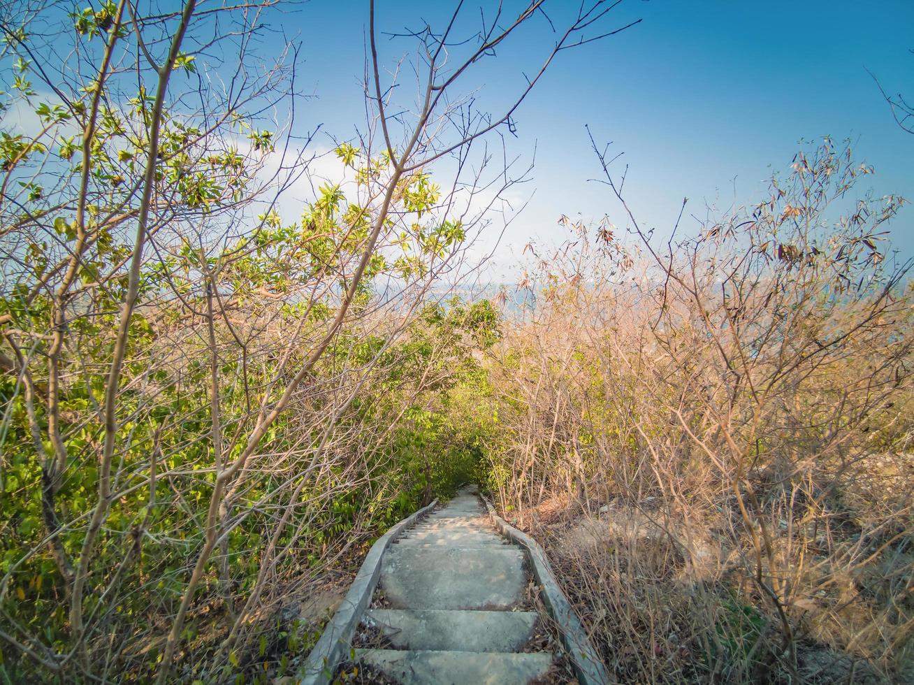 schöne natur und treppe zum gipfel der insel koh lan pattaya thailand.koh lan insel ist die berühmte insel in der nähe von pattaya stadt das reiseziel in thailand. foto