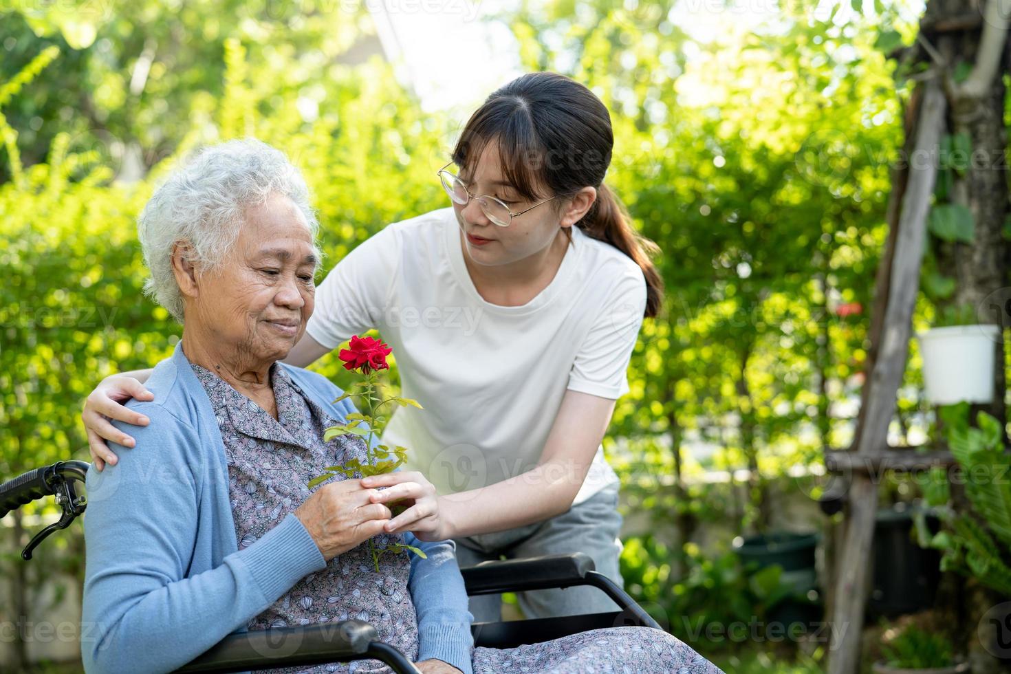 asiatische seniorin oder ältere alte dame, die rote rosenblume, lächeln und glücklich im sonnigen garten hält. foto