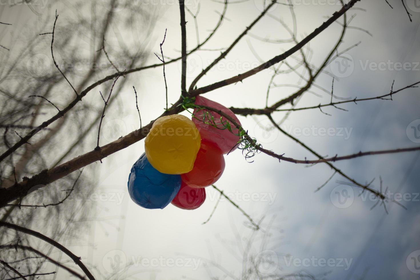 Luftballons am Baum. Ball am Ast stecken. Reste des Urlaubs. foto