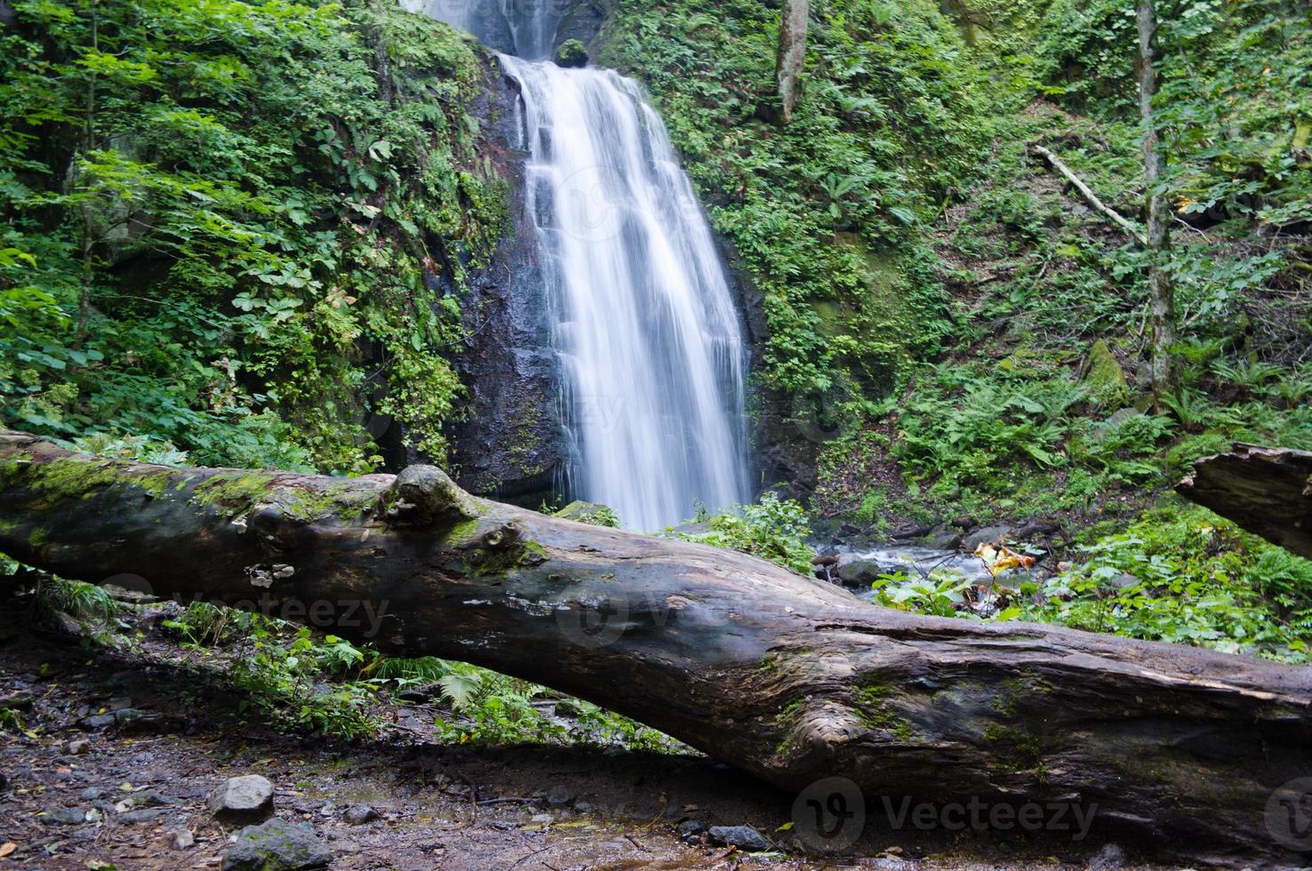 Wasserfall des Gebirgsbaches foto