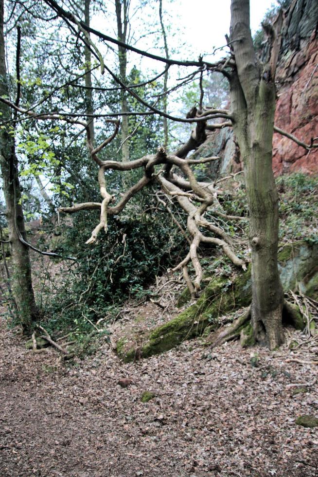 ein blick auf die landschaft von shropshire bei grinshill foto