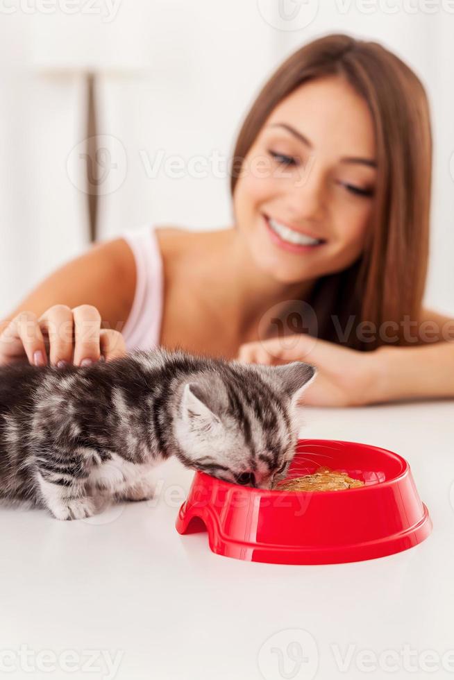 kümmert sich um ihr kleines Kätzchen. Kleines Kätzchen, das Essen aus der Schüssel isst, während es von einer schönen jungen Frau gestreichelt wird foto