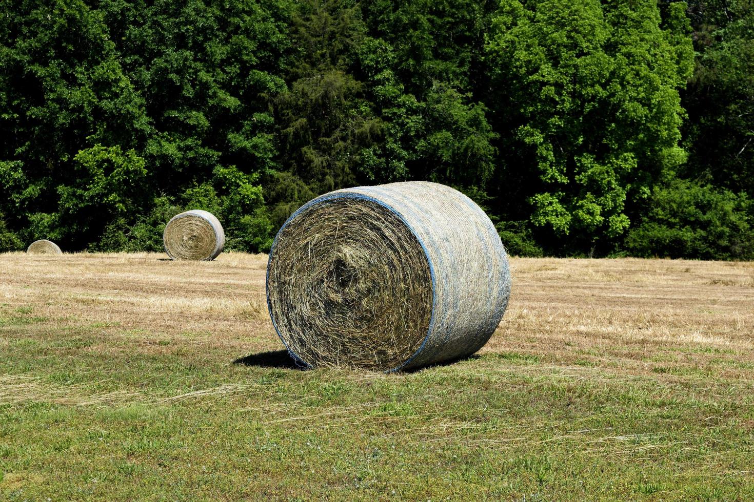 Heuballen auf dem Feld foto