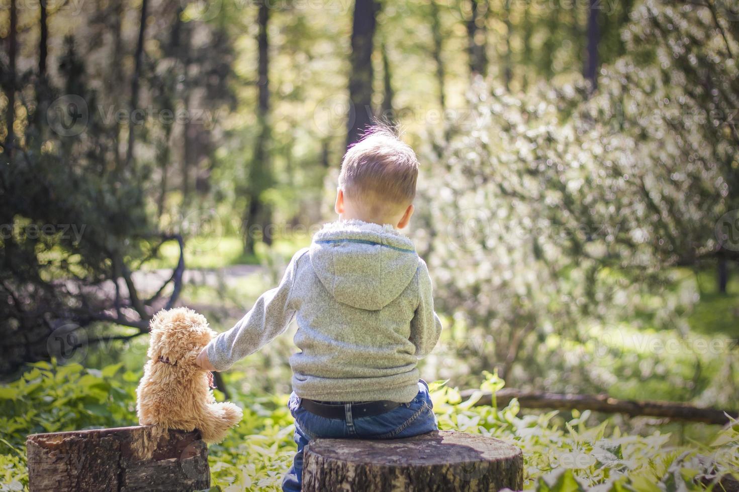 Ein süßer Junge spielt mit einem Bärenjungen im Wald. Die Sonnenstrahlen umhüllen den Raum der Lichtung mit einem Baumstumpf. eine magische Geschichte von Interaktionen für das Buch. Platz zum Kopieren. selektiv foto