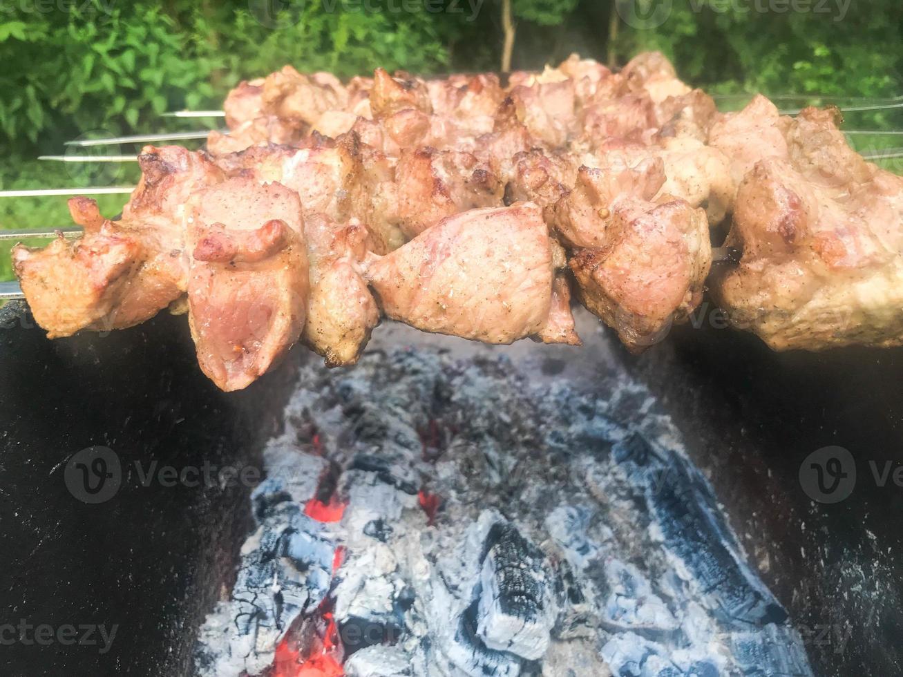 Schönes leckeres, appetitliches Fleisch, gegrillte Kebabs auf Kohlen und natürlicher Rauch auf dem Grill mit gerösteter Räucherkruste am Spieß. konzeptcamping, picknick, grill, grill foto