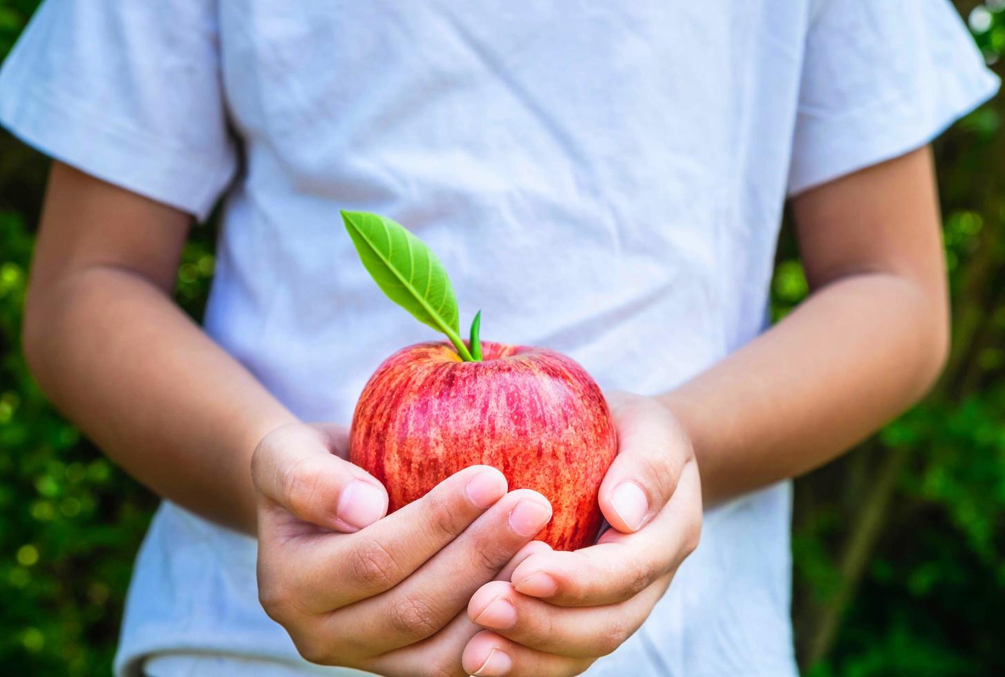 frische Apfelfrucht in der Hand eines Kindes foto