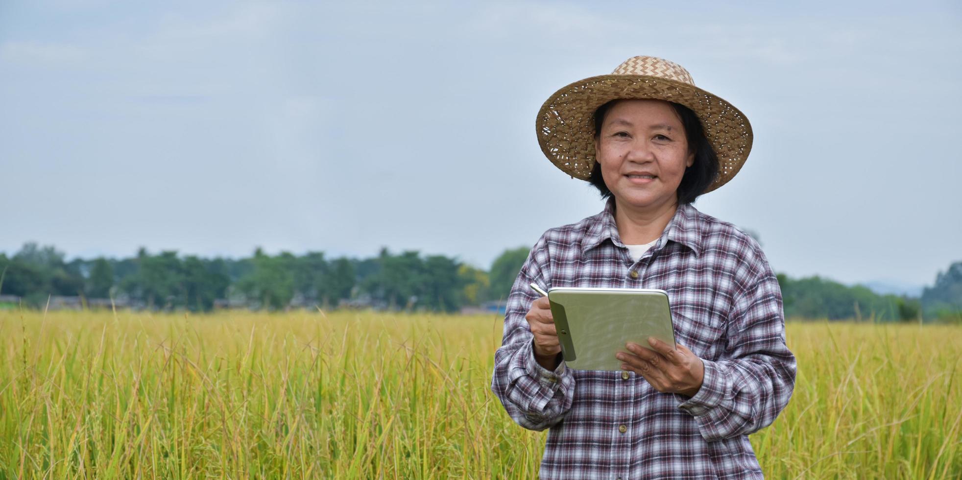 Porträt einer älteren asiatischen Frau mit Hut, die ein mobiles Taplet hält und auf einem Reisfeld steht, ein weicher und selektiver Fokus, ein Konzept für einen intelligenten Landwirt und eine glückliche Seniorin in ihrem eigenen Lebensstil foto